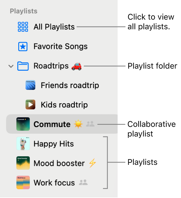 The Music sidebar showing a playlist folder and the various types of playlists. Click All Playlists to view all of them.