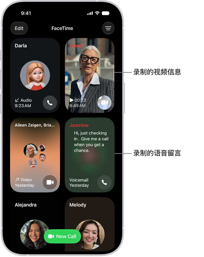 FaceTime 通话记录显示建议的联系人、录制的视频信息、语音留言和 FaceTime 视频群聊。