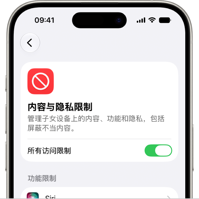 “内容与隐私限制”屏幕。