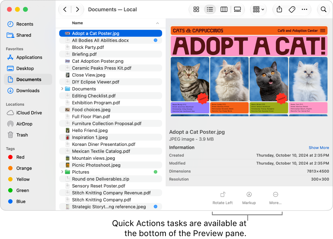 The bottom of the Preview pane showing the Quick Actions buttons.