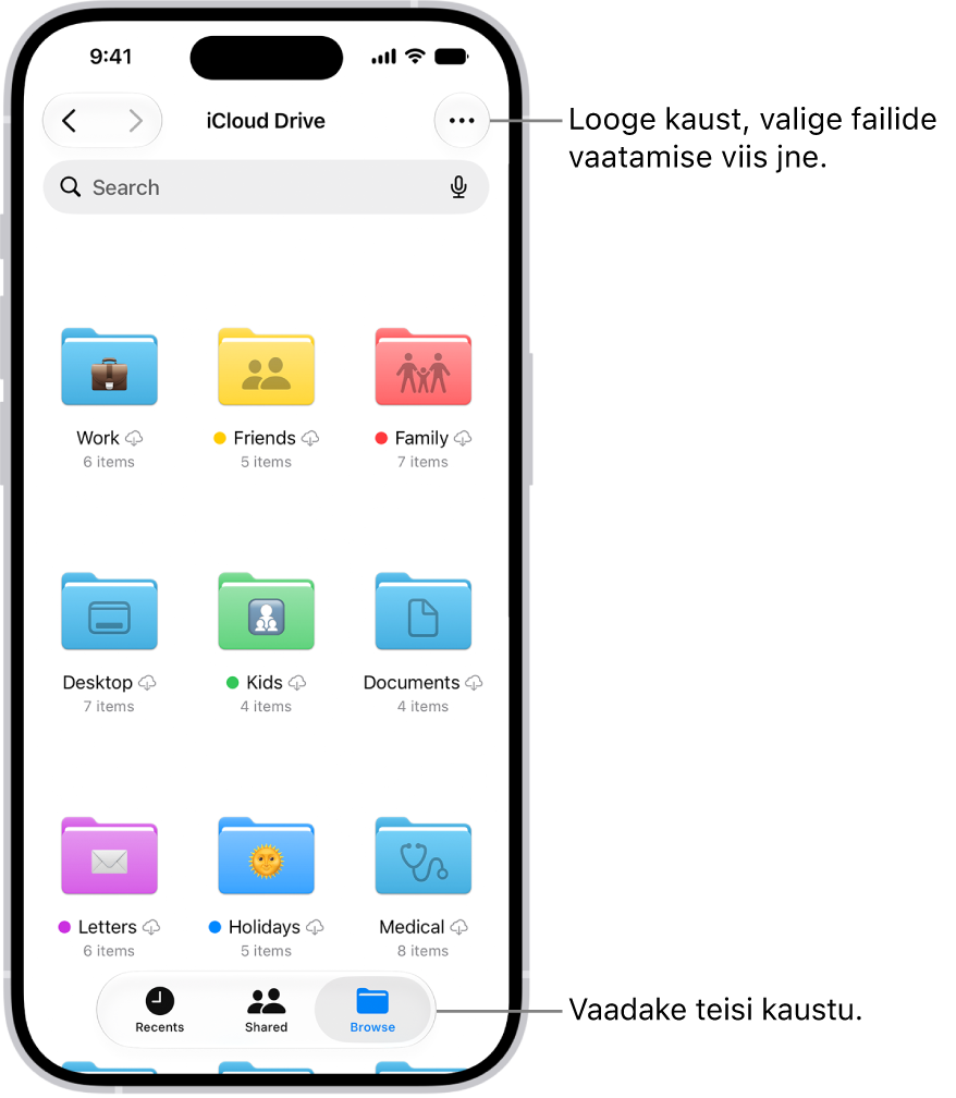 Rakenduses Files kuvatakse iCloud Drive'is olevaid faile ja kaustu. Menüüs More on valikud üksuste valimiseks, uue kausta loomiseks ning Scan Documents ja Connect to Server. Selle all on üksuste kuvamiseks ekraanil valikud Icons või List. All on sortimisvalikud Name, Kind, Date, Size ja Tags, mille järel on valik View Options.
