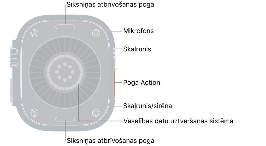 Apple&nbsp;Watch&nbsp;Ultra&nbsp;4 pulksteņa aizmugure ar siksniņas atbrīvošanas pogām augšā un apakšā. Sānos atrodas mikrofons, skaļrunis un veselības datu uztveršanas sistēma, poga Action un skaļruņa ports, no kuras skan sirēna.