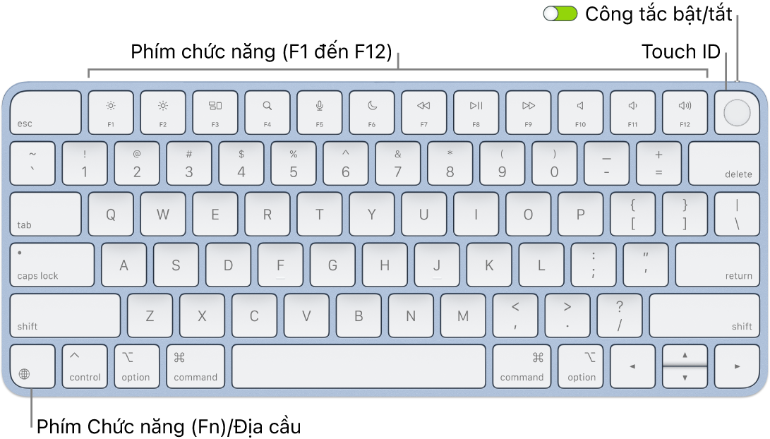 Magic Keyboard có Touch ID đang hiển thị hàng các phím chức năng, Touch ID ở trên cùng và phím Chức năng (Fn)/Địa cầu ở góc phía dưới bên trái.
