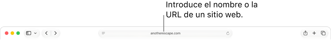 El campo de búsqueda inteligente de Safari, donde puedes escribir el nombre o la URL de un sitio web.