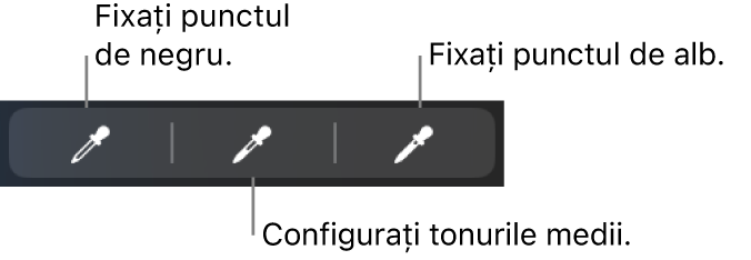 Trei pipete utilizate pentru a configura punctul de negru, tonurile medii și punctul de alb al pozei sau clipului video.