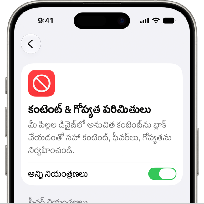 కంటెంట్, గోప్యతా పరిమితులు స్క్రీన్.
