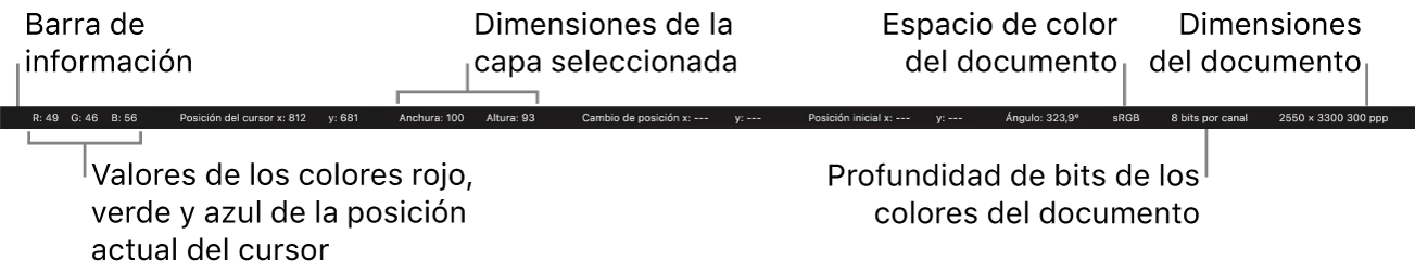 La barra Información