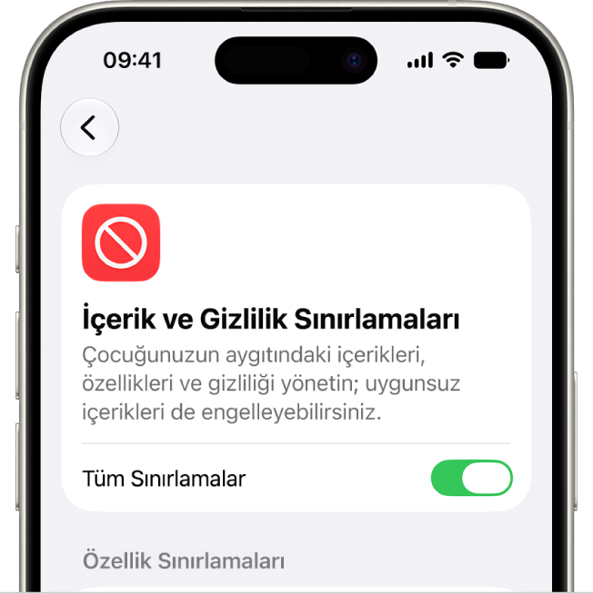 İçerik ve Gizlilik Sınırlamaları ekranı.