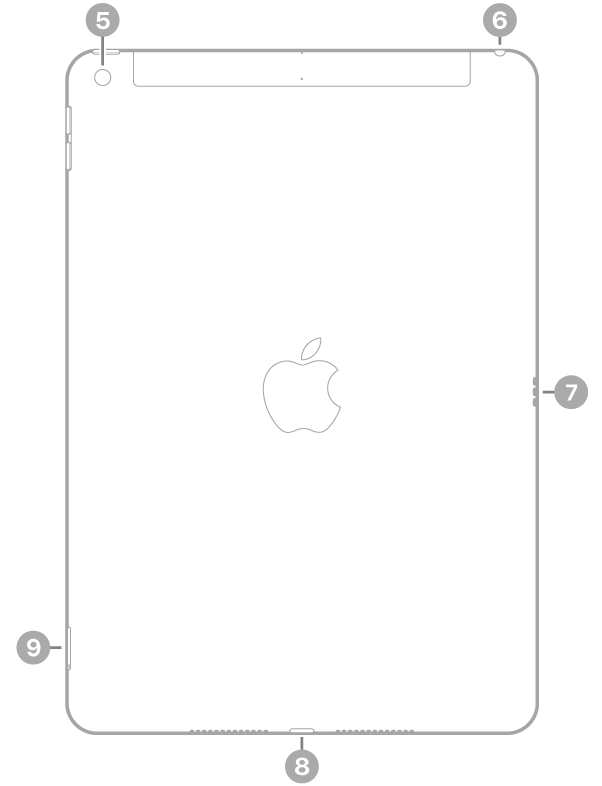 عرض للجزء الخلفي من iPad مع وسائل شرح للكاميرا الخلفية في أعلى اليسار، ومقبس سماعة الرأس في أعلى اليمين، والموصل الذكي على اليمين، وموصل لايتننغ في أسفل الوسط، وحامل الشريحة (في طرز Wi-Fi&nbsp;+&nbsp;خلوي) في أسفل اليسار.