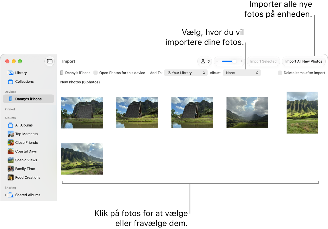 Vinduet Importer i Fotos på Mac, der viser nye fotos på en enhed. Øverst i midten findes lokalmenuen Album. Knapperne Importer findes øverst til højre.