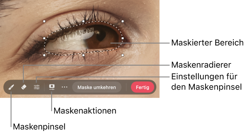 Eine Bitmap-Maske auf einem Foto, wobei die Werkzeugleiste sichtbar ist.