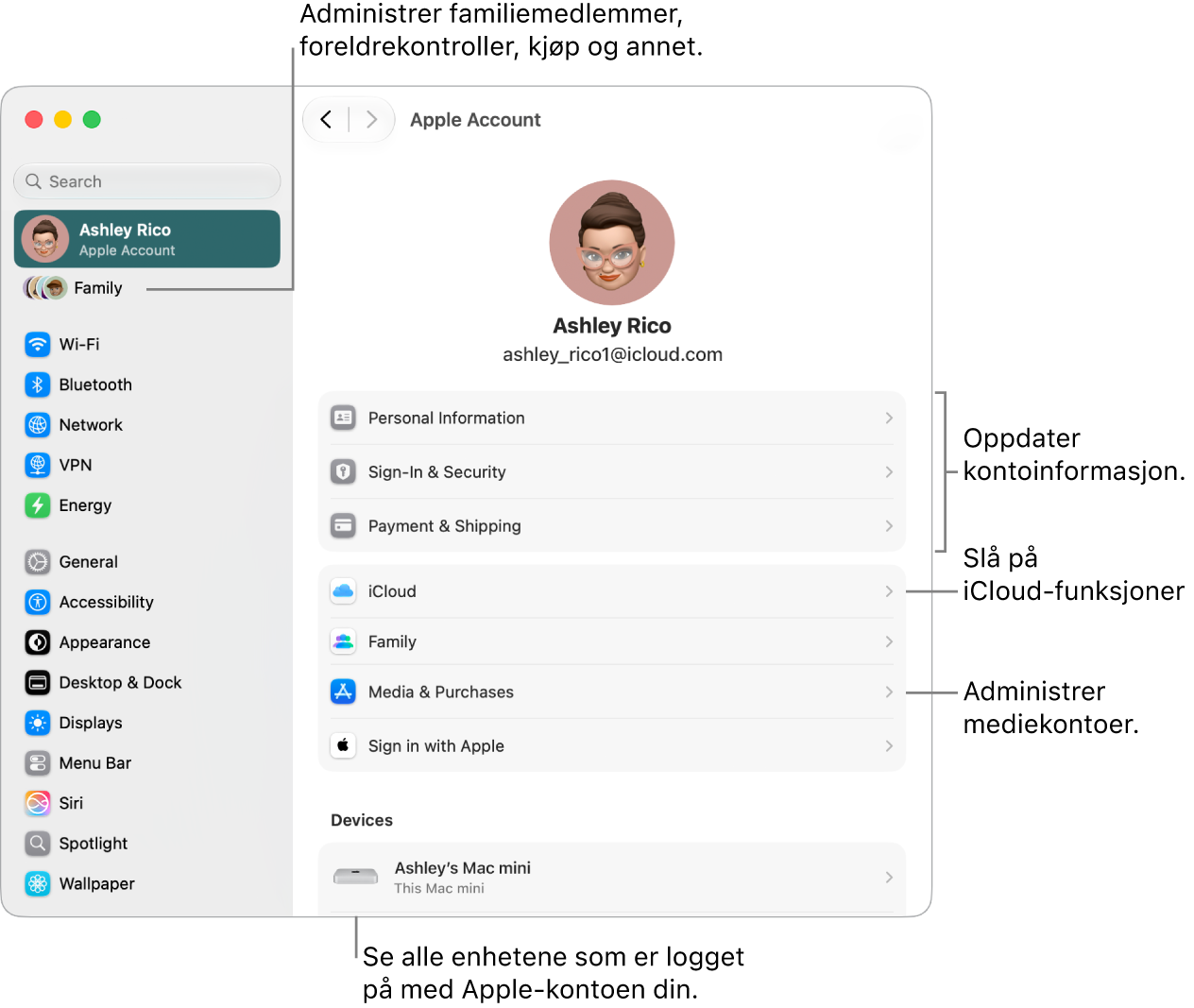 Apple-konto-innstillinger i Systeminnstillinger med forklaringer for hvordan du oppdaterer kontoinformasjon, slår av eller på iCloud-funksjoner, administrerer mediekontoer, og justerer Familie-innstillinger, der du kan administrere familiemedlemmer, foreldrekontroller, kjøp og mer.