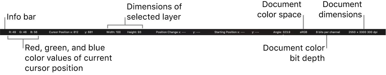 The Pixelmator Pro info bar.