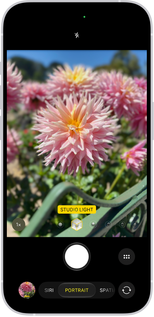 The Camera screen in Portrait mode; in the viewfinder, the subject is sharp and the background is blurred. The dial to select Portrait Lighting is open in the bottom of the frame and Studio Light is selected.
