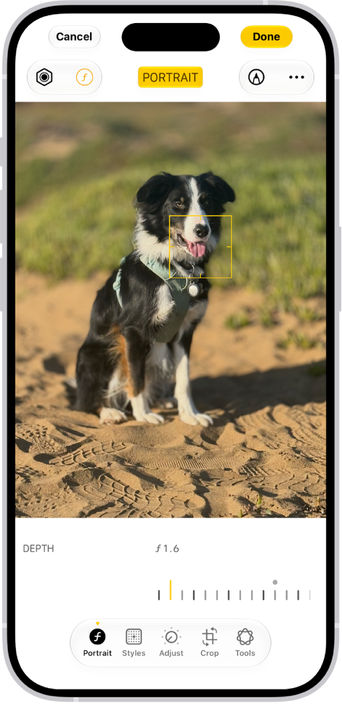 The Edit screen in the Photos app with a portrait in the center. Below the photo is a slider to adjust the Depth Adjustment setting. Below the slider, from left to right, are the Style, Portrait, Adjust, Filters, Crop, and Clean Up buttons. The Portrait button is selected.
