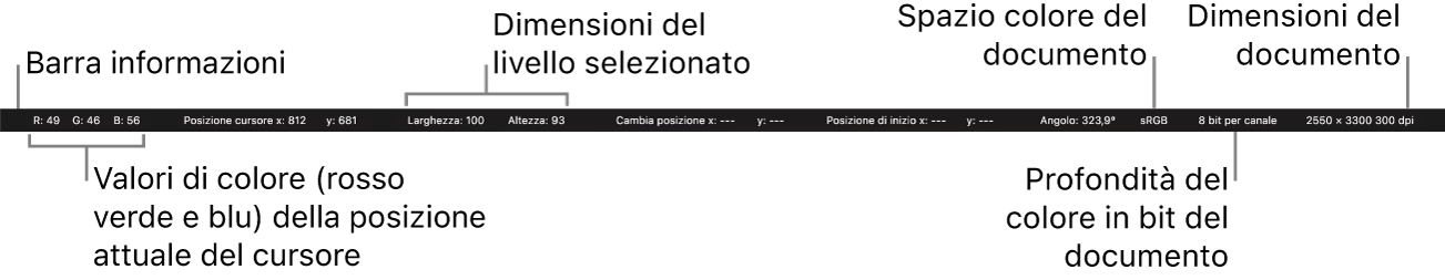 La barra Informazioni
