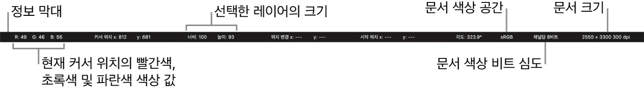정보 막대