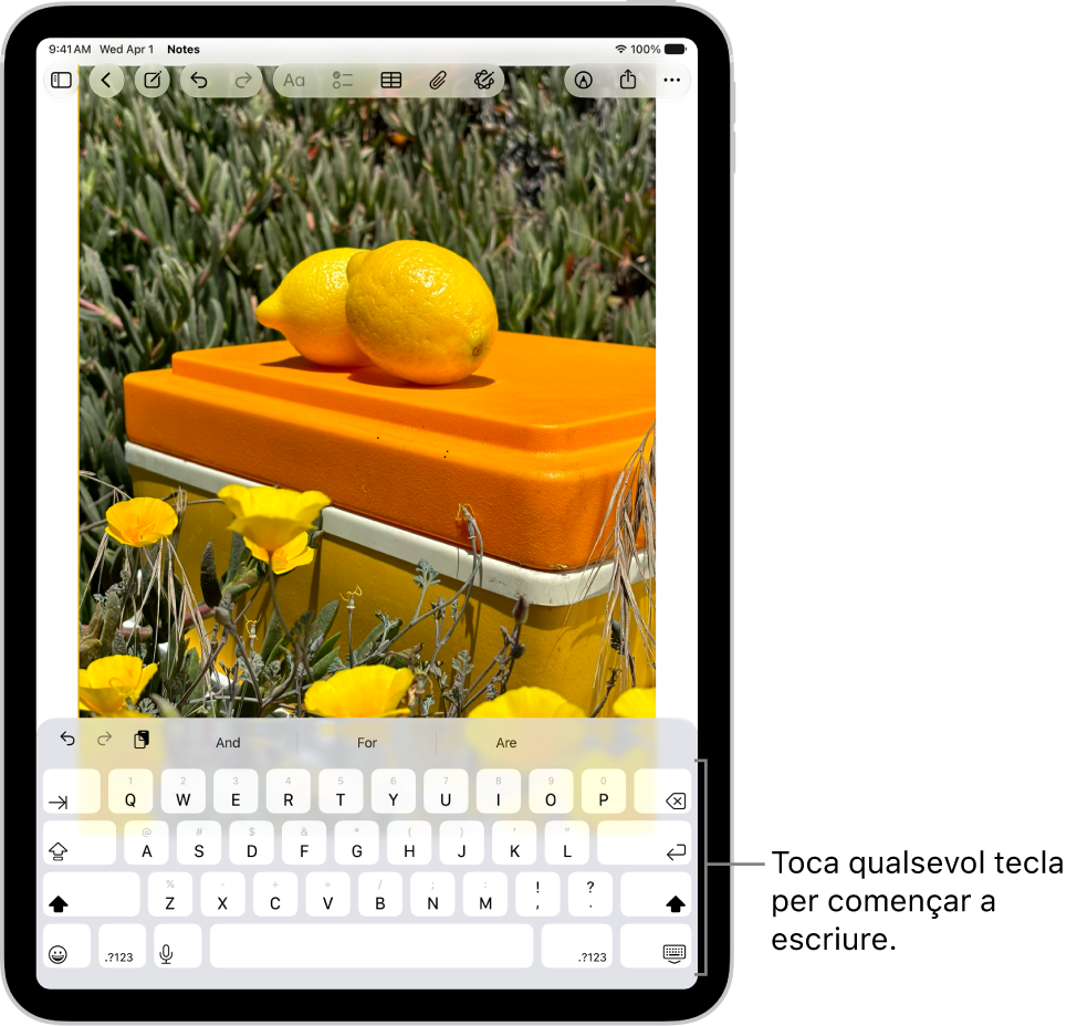 A l’app Notes hi ha un document obert. El teclat és a la meitat inferior de la pantalla.