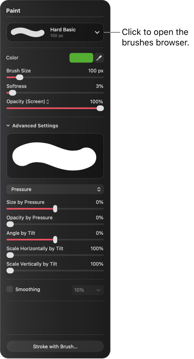 The Paint pane showing controls for brush size, softness, opacity, and more.