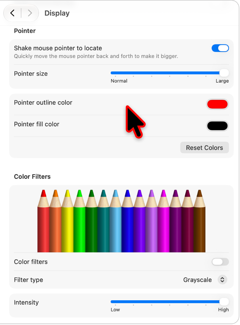 Accessibility Display settings showing a large pointer with a custom outline color.