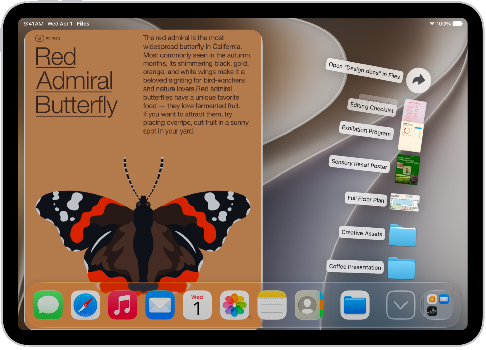 iPad 主屏幕显示可从程序坞打开的文件。