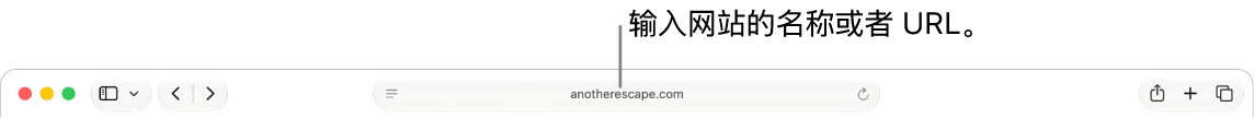 Safari 浏览器智能搜索栏，可在此输入网站的名称或 URL。