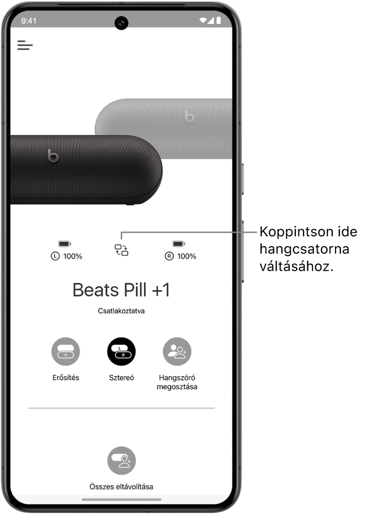 A Beats&nbsp;app eszközképernyője két csatlakoztatott Beats&nbsp;Pill hangszóróval egy Sztereó csoportban, valamint a hangcsatornák módosítására szolgáló gombbal.