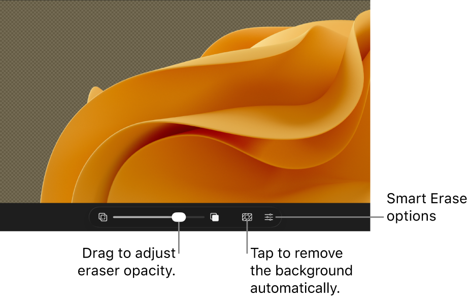 The Smart Erase toolbar