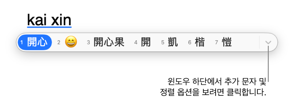 후보 한자 윈도우에 이모지를 포함하여 중국어 번체로 kaixin(행복)과 일치할 수 있는 문자가 표시됨.