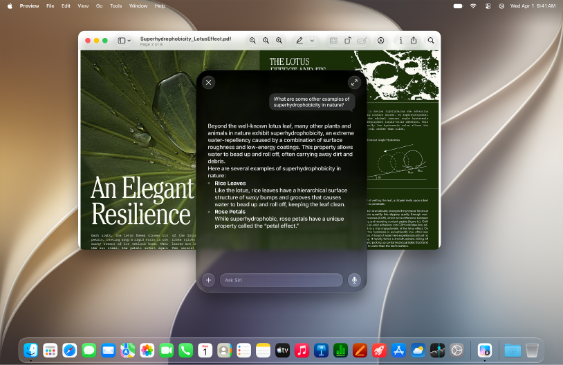 A Mac showing Siri giving information.