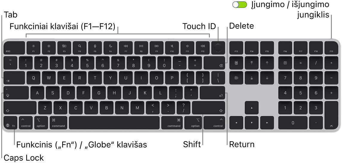 „Magic&nbsp;Keyboard“ su „Touch ID“ ir skaitmenų klaviatūra, viršuje matosi funkcinių klavišų eilė ir „Touch ID“, o apačioje kairėje&nbsp;– klavišas „Function“ („Fn“)&nbsp;/ „Globe“.
