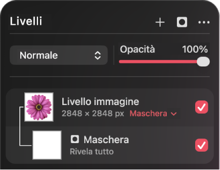 Un livello di maschera nella barra laterale Livelli.