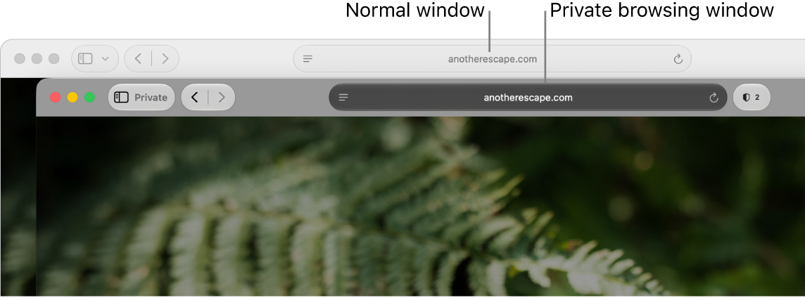 A private Safari window with its dark Smart Search field, and a normal Safari window with its light Smart Search field.