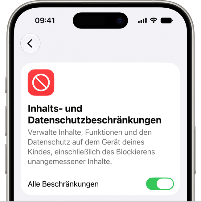 Der Bildschirm „Inhalts- und Datenschutzbeschränkungen“.
