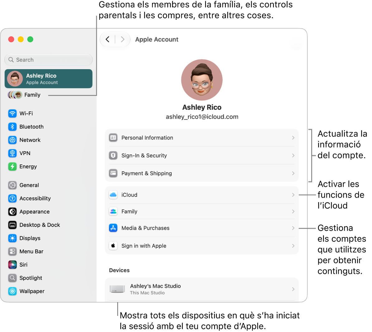 A la configuració del sistema, es veu la secció del compte d’Apple, amb opcions per actualitzar la informació del compte, activar o desactivar les funcions de l’iCloud, administrar els comptes de contingut multimèdia i ajustar la configuració d’“En&nbsp;família”, on pots gestionar els membres de la família, els controls parentals i les compres, entre altres coses.