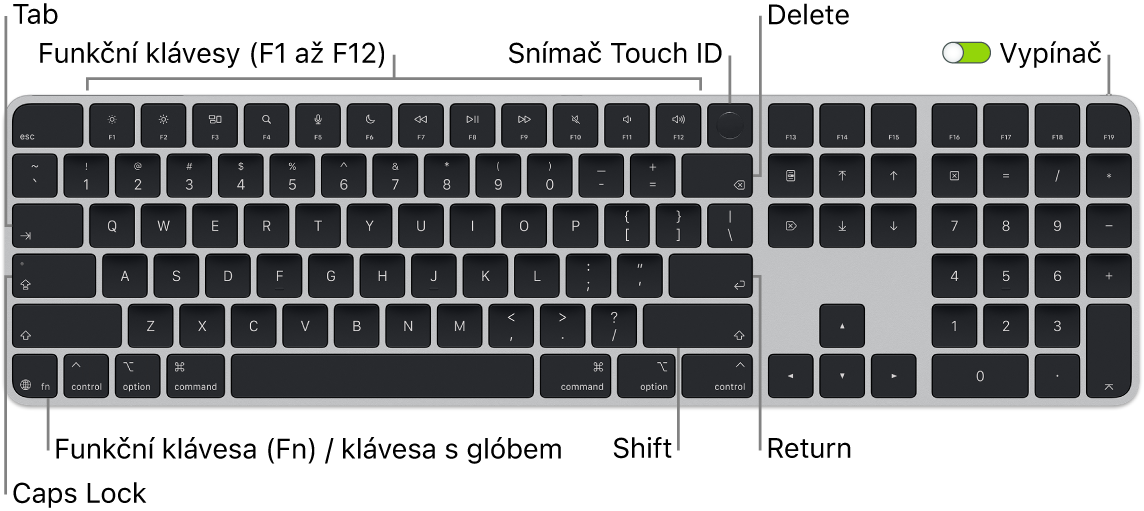 Klávesnice Magic&nbsp;Keyboard s&nbsp;Touch ID a&nbsp;numerickou klávesnicí, na které je vidět řada funkčních kláves a&nbsp;snímač Touch ID u&nbsp;horního okraje a&nbsp;funkční klávesa Fn / klávesa s&nbsp;glóbem vlevo dole.