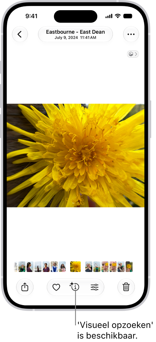 Een foto is open in de Foto's-app. Onder in het scherm heeft de infoknop een symbool dat aangeeft dat 'Visueel opzoeken' beschikbaar is.