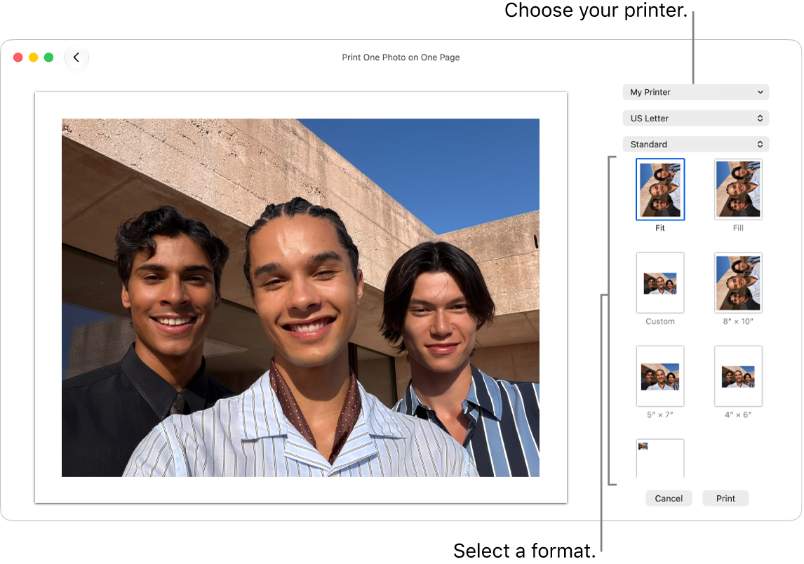 A window for selecting print options, with a print preview area on the left and print options on the right.