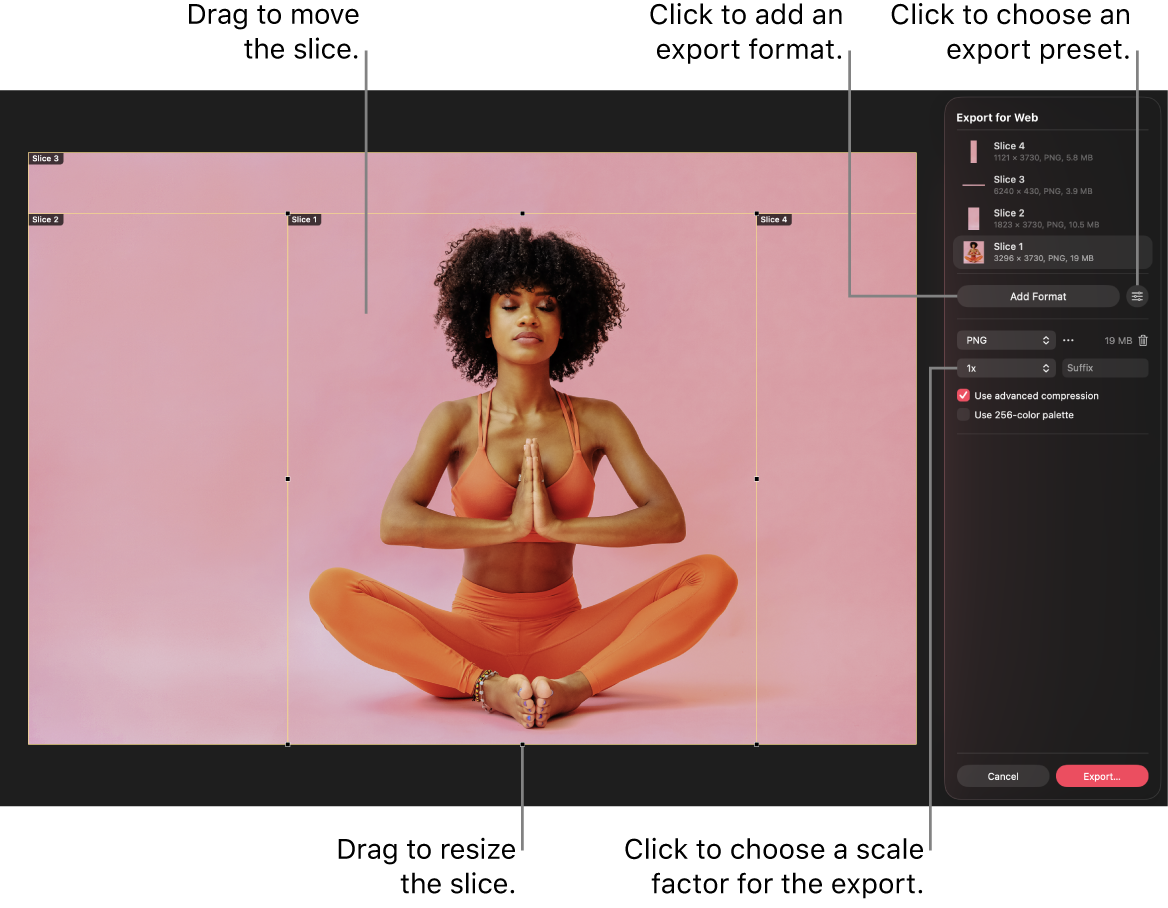 A photo with the Export for Web tool activated and slices visible in the canvas.