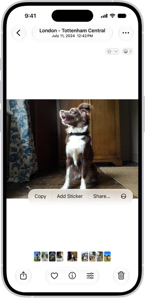 La app Fotos está abierta y muestra una foto de un perro. El perro se selecciona y la opción Agregar sticker está disponible en el menú de arriba.