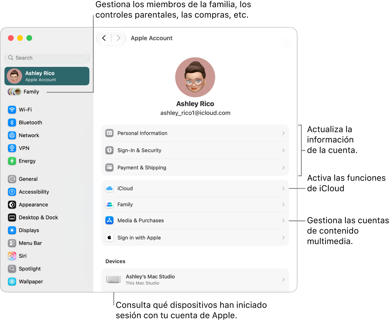 Los ajustes “Cuenta de Apple” en Ajustes del Sistema con indicaciones para actualizar la información de la cuenta, activar o desactivar las funciones de iCloud, gestionar las cuentas de redes sociales y ajustar los ajustes de “En familia”, donde puedes gestionar los miembros de la familia, el control parental, las compras y mucho más.