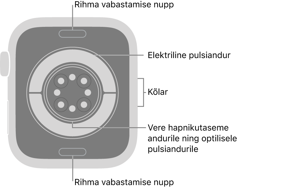 Apple Watch Series 11 tagakülg, kus üleval ja all on rihma vabastusnupud, elektrilised südamepulsiandurid, optilised südamepulsiandurid ja keskel vere hapnikusisalduse andur ning kõlar küljel.