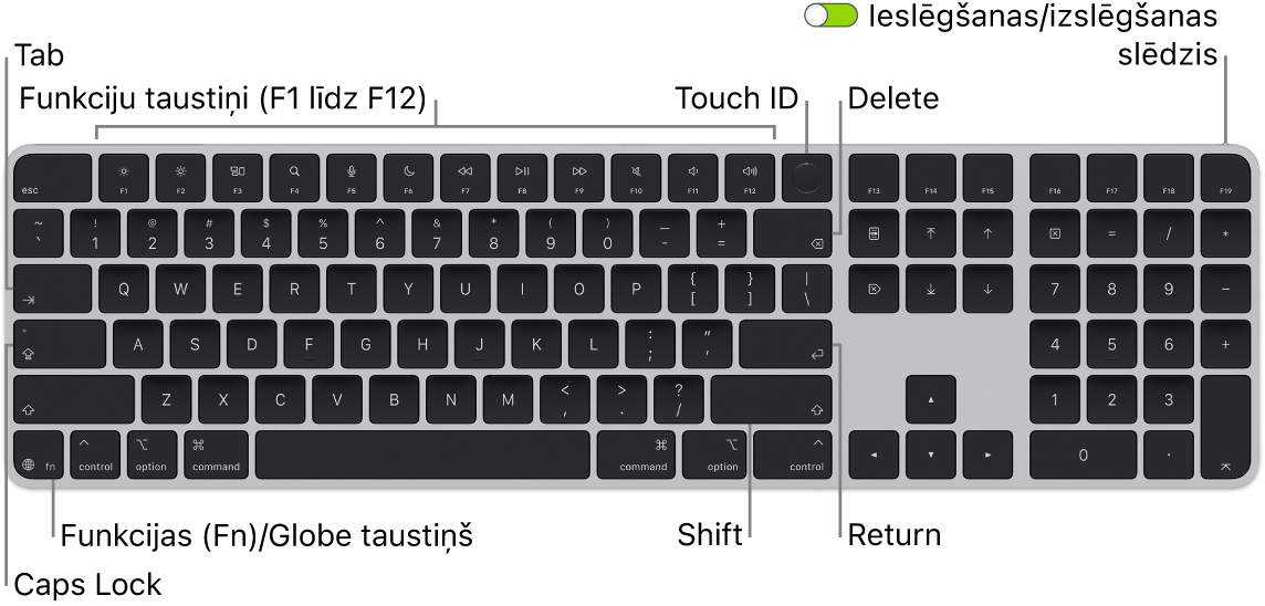 Tastatūra Magic Keyboard ar Touch&nbsp;ID un ciparu tastatūra, kam augšdaļā redzama funkciju taustiņu rinda un Touch&nbsp;ID, bet apakšā pa kreisi&nbsp;— taustiņš Function (Fn)/Globe.