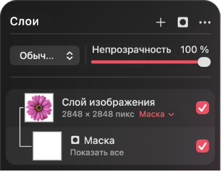 Слой маски в&nbsp;боковом меню «Слои».