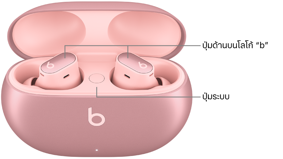 ภาพของ Beats Studio&nbsp;Buds&nbsp;+ ที่แสดงตำแหน่งของปุ่มที่ด้านบนโลโก้ “b” บนหูฟัง และตำแหน่งของปุ่มระบบข้างในเคสชาร์จ