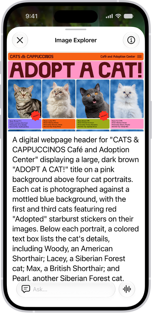 Un écran de l’explorateur d’image donnant une description d’un dépliant d’adoption de chat.