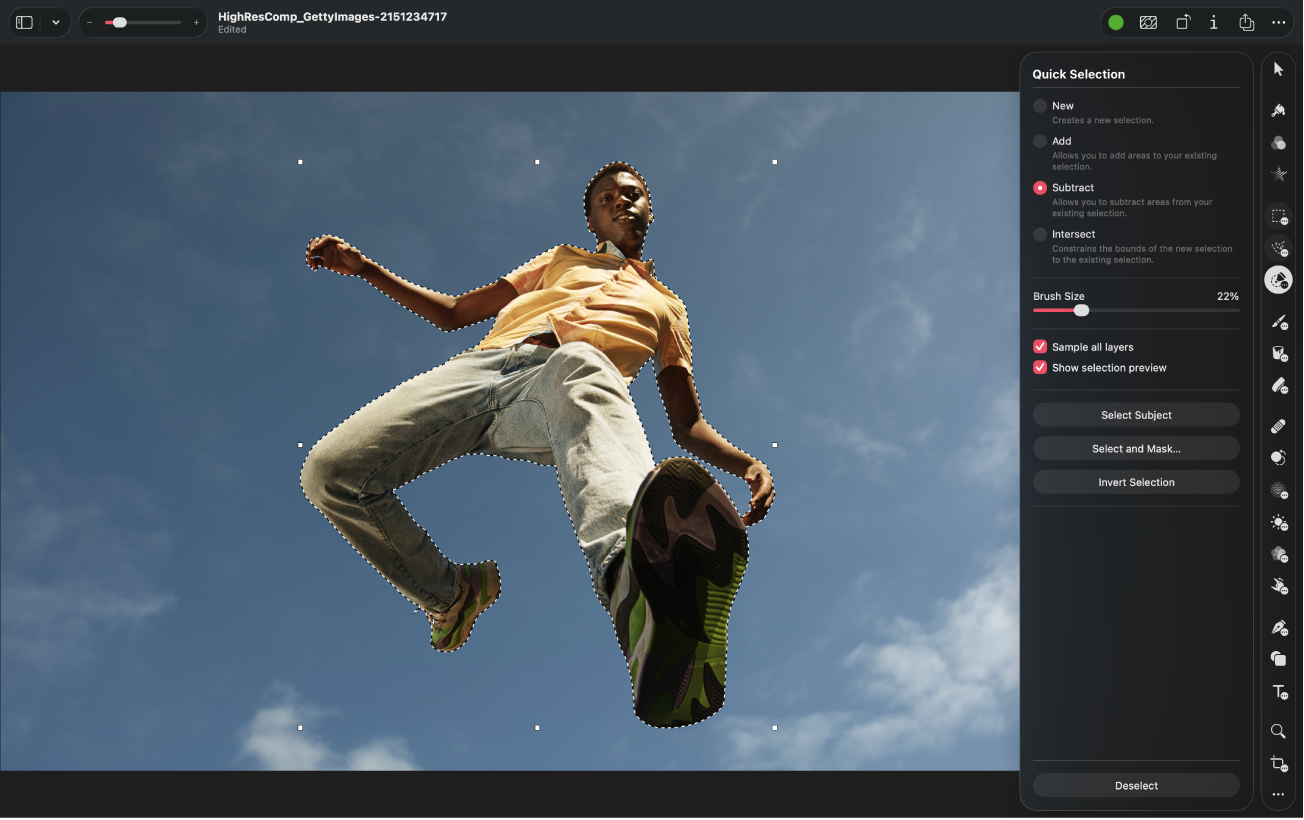 An image selected in the canvas using the Quick Selection tool, and the Quick Selection pane beside it, where you can fine-tune the selection.