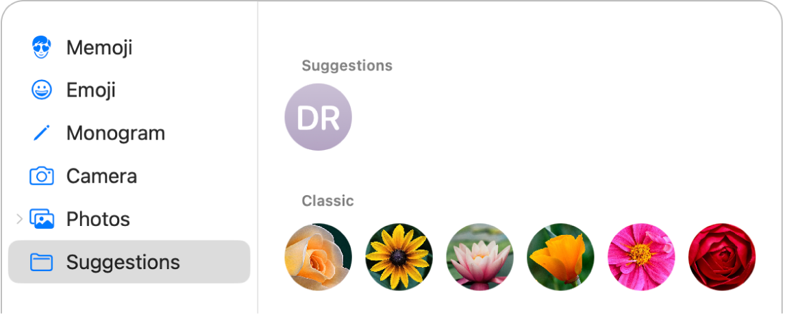 Options relatives à l’image du compte&nbsp;Apple avec Suggestions sélectionné dans la barre latérale et des suggestions d’images affichées.