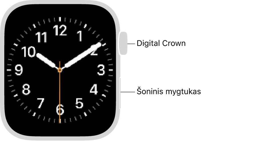 „Apple Watch“ priekis, viršuje, dešinėje laikrodžio pusėje rodomas „Digital Crown“, o apačioje dešinėje – šoninis mygtukas.