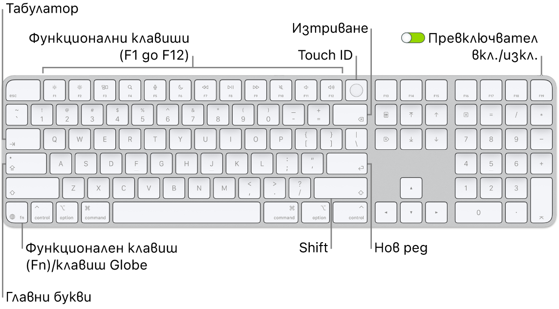 Клавиатурата Magic Keyboard с Touch ID и Numeric Keypad, която показва редицата с функционални клавиши, Touch ID в горната част и клавиша Function (Fn)/Globe вдясно от клавиша Delete.